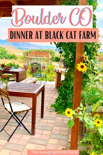 Pinterest pin for review of Black Cat Farm in Longmont Colorado