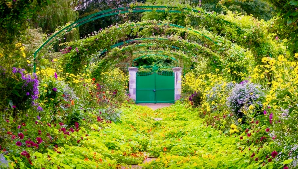 rose trellises in Giverny