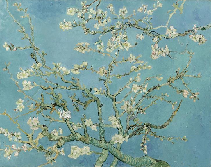 Van Gogh's Almond Blossoms