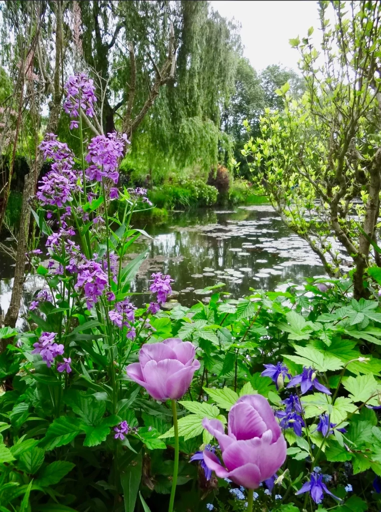 Giverny Water Garden