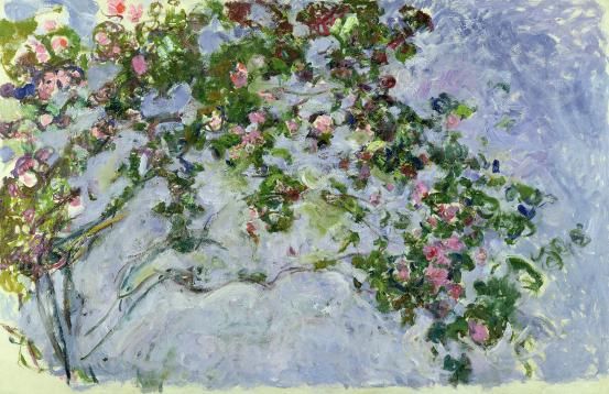 Monet roses