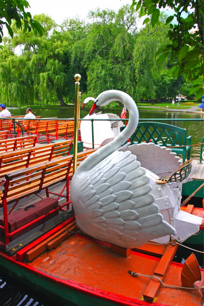 swan boat Boston Public Garden