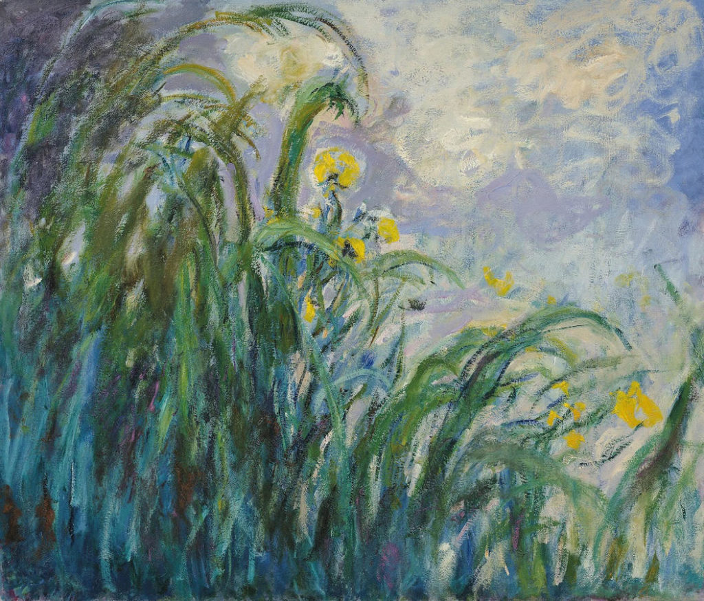 Monet yellow irises