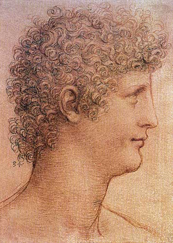 Leonardo drawing of Caprotti