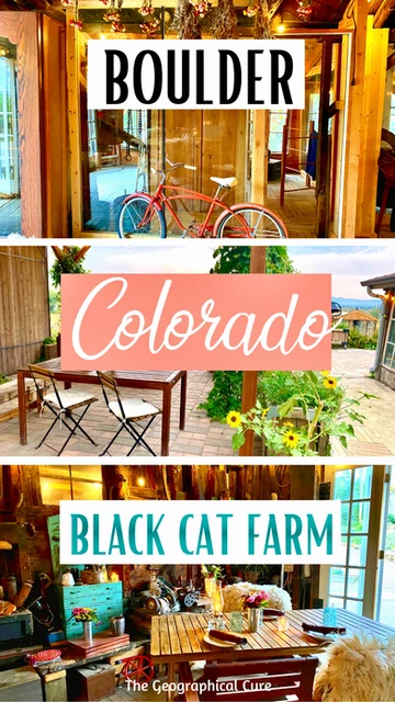 Pinterest pin for review of Black Cat farms in Boulder