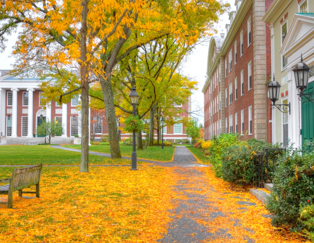 building at Harvard