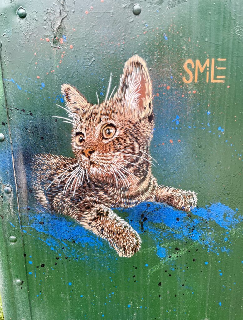 SMILE cat mural