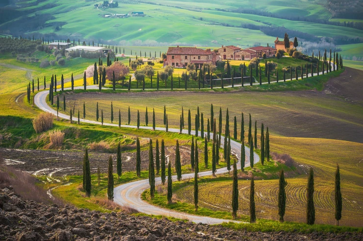fields and spiky cypress trees in Tuscany