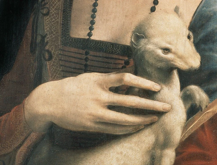 detail of the ermine from Leonardo's portrait The Lady with the Ermine