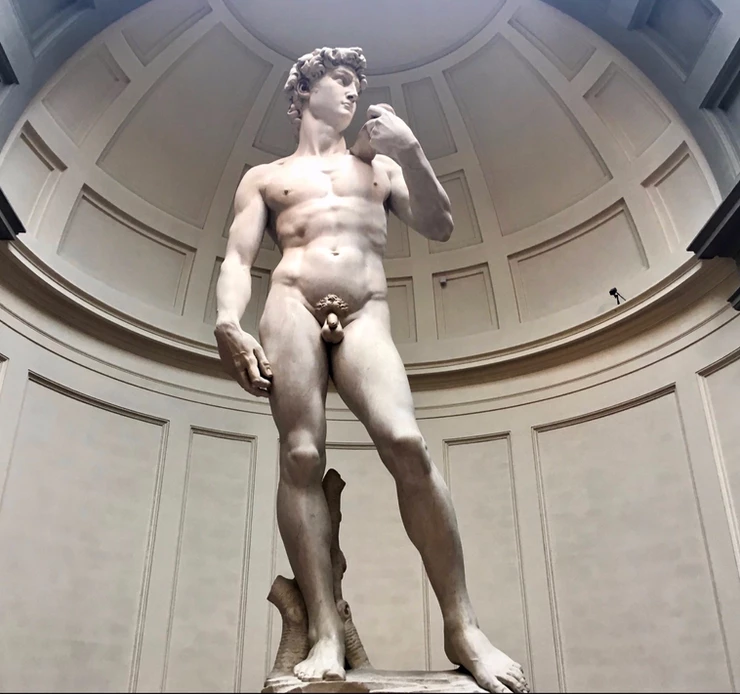 Michelangelo's David in the Galleria dell'Accademia