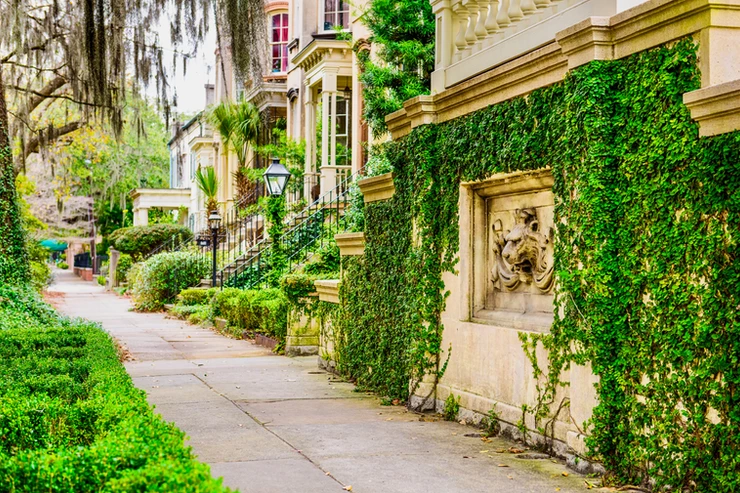 historic row homes in Savannah