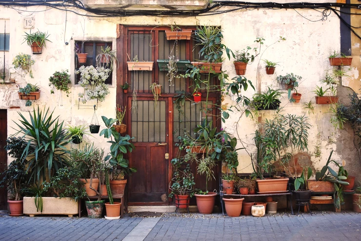 the Plant Wall in Barcelona's El Born neighborhood