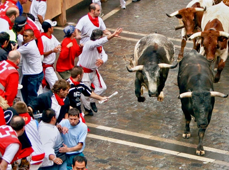 the "Running of the Bulls" In Pamplona