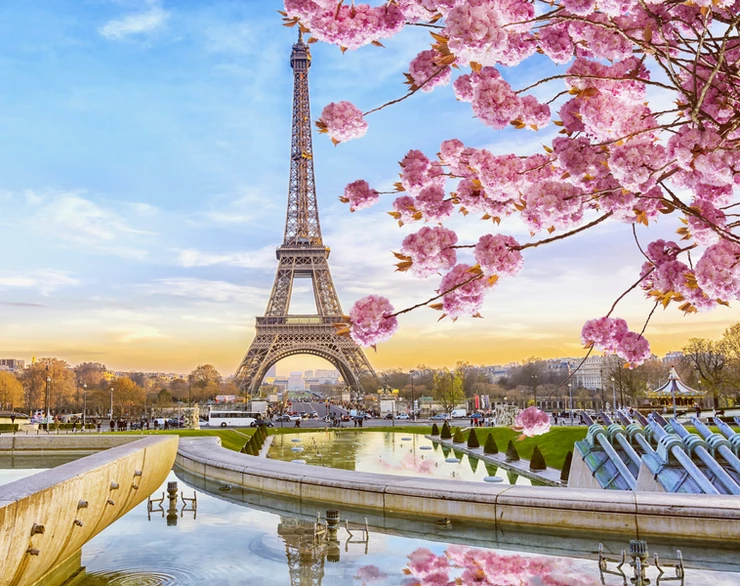 view of the Eiffel Tower in spring