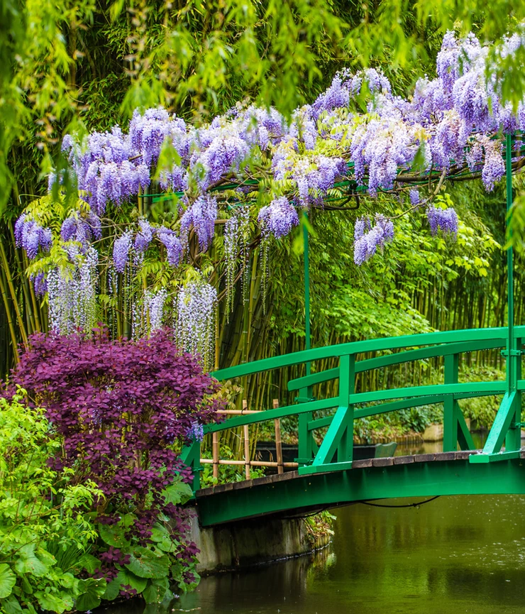 the iconic green bridge in the Water Garden