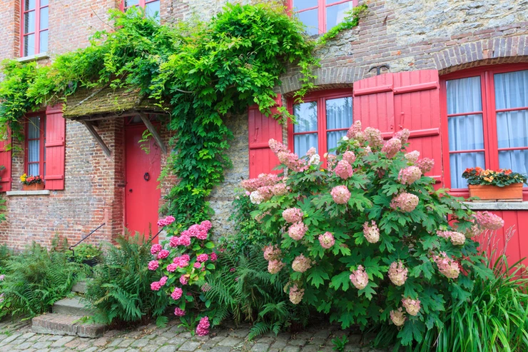 pretty house with hydrangea in Gerborey France