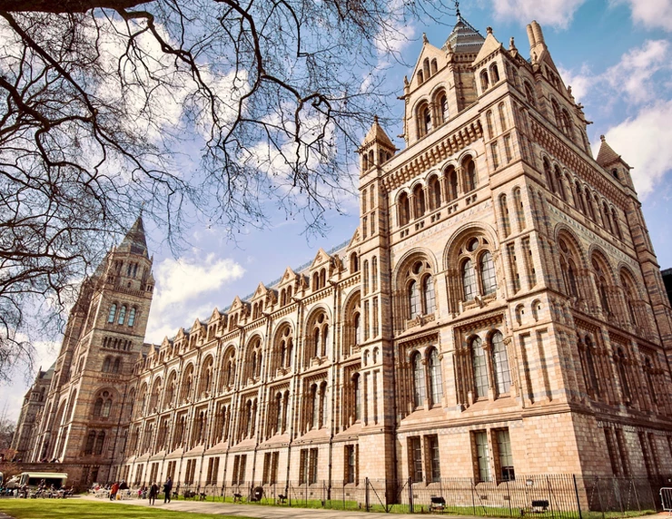 the Natural History Museum in London