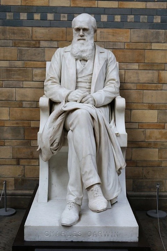 statue of Darwin, 1885, on the main staircase in Hintze Hall