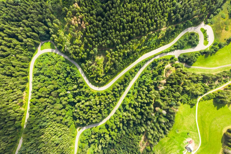 winding road in the Black Forest area of Germany