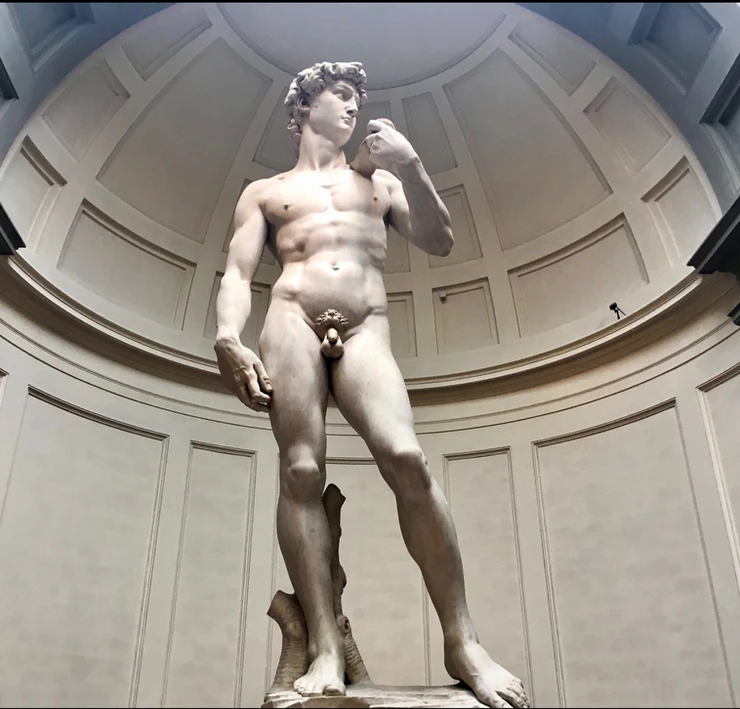 Michelangelo's original David in the Galleria dell'Accademia