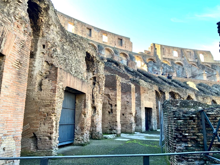 the Colosseum hypogeum
