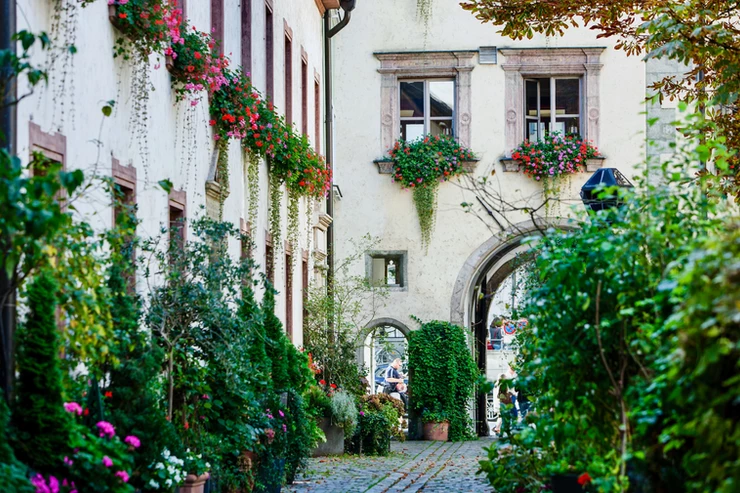 beautiful hidden garden in Regensburg