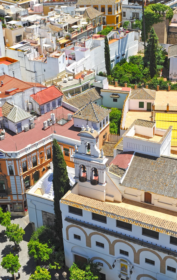 aerial view of Barrio Santa Cruz from La Giralda