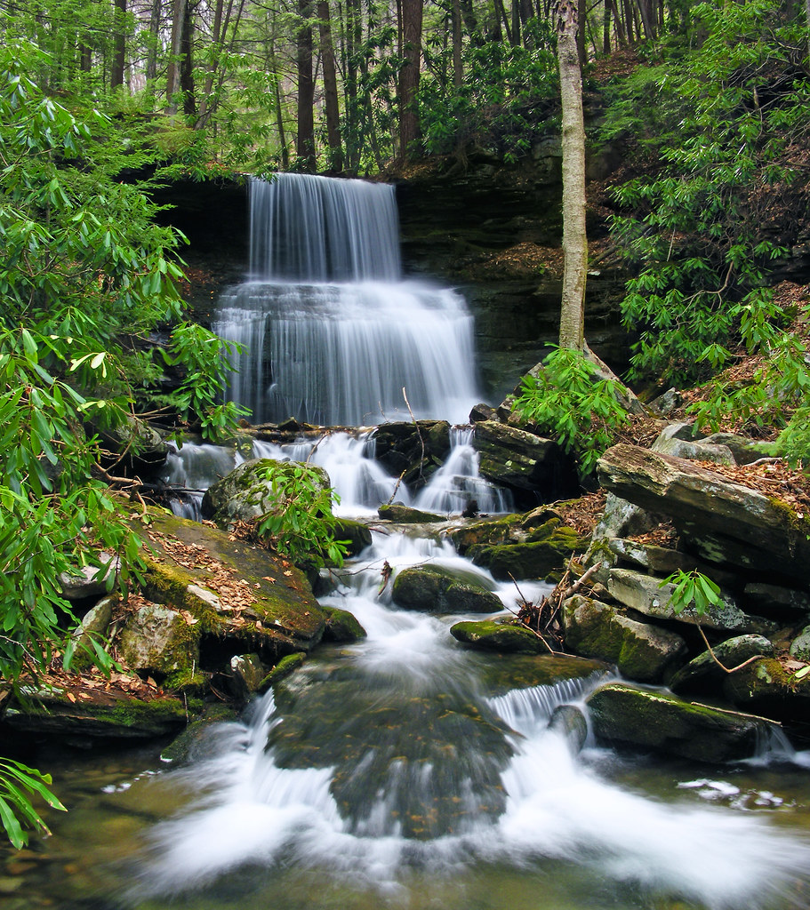 waterfall in Fall Run Park