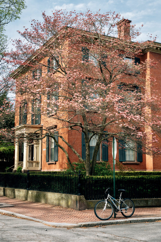 spring colors on College Hill