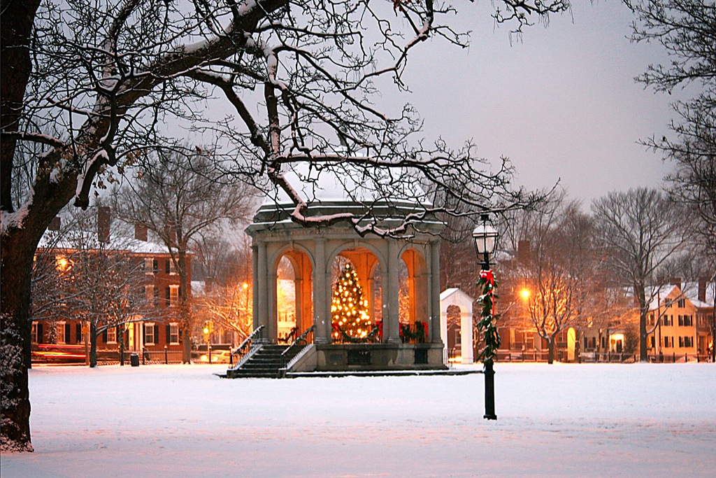 Salem Commons Christmas Tree