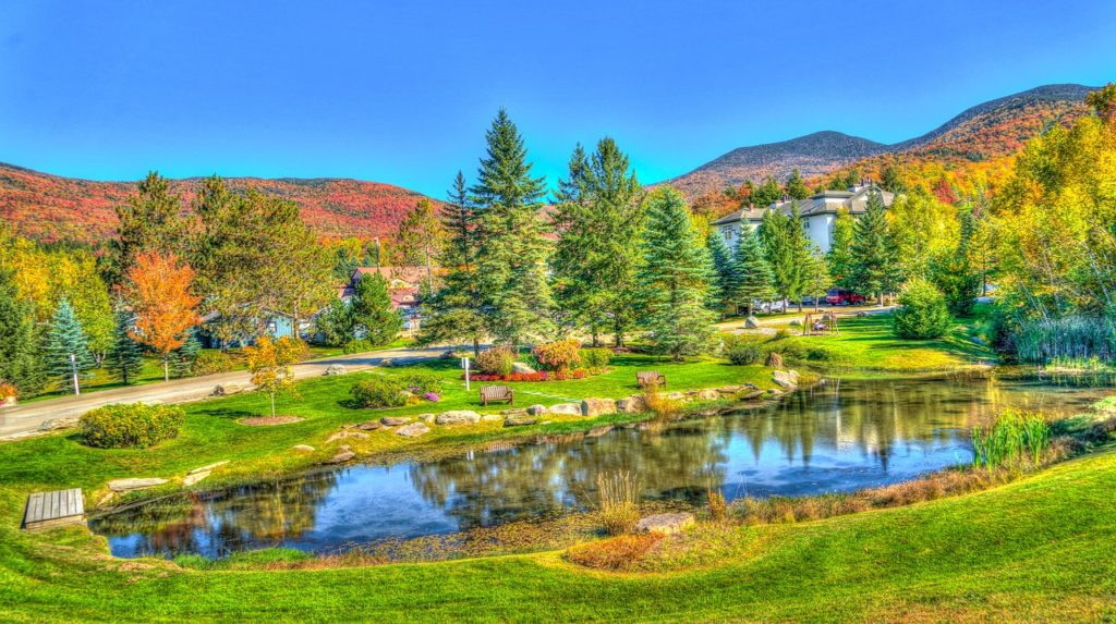 fall foliage in Stowe