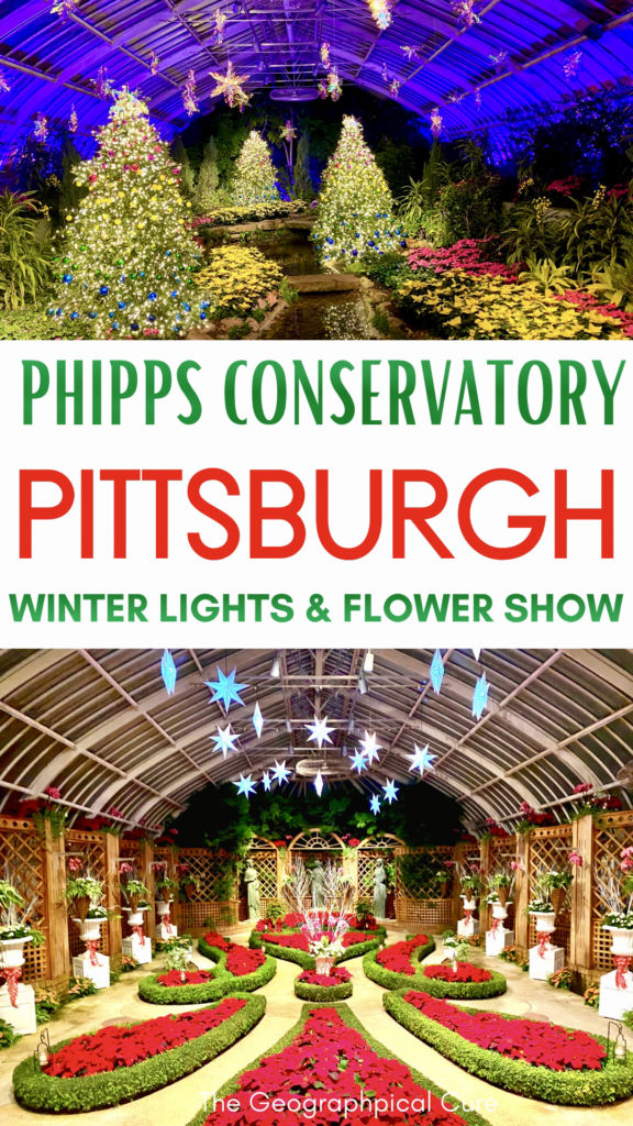 Pinterest pin guide guide to the Phipps Conservatory Winter Flower and Light Show