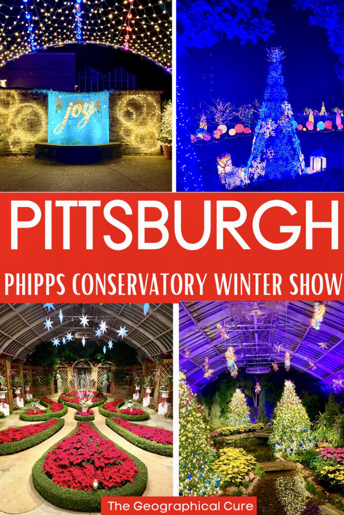 Pinterest pin for Pittsburgh Conservatory Winter Flower Show