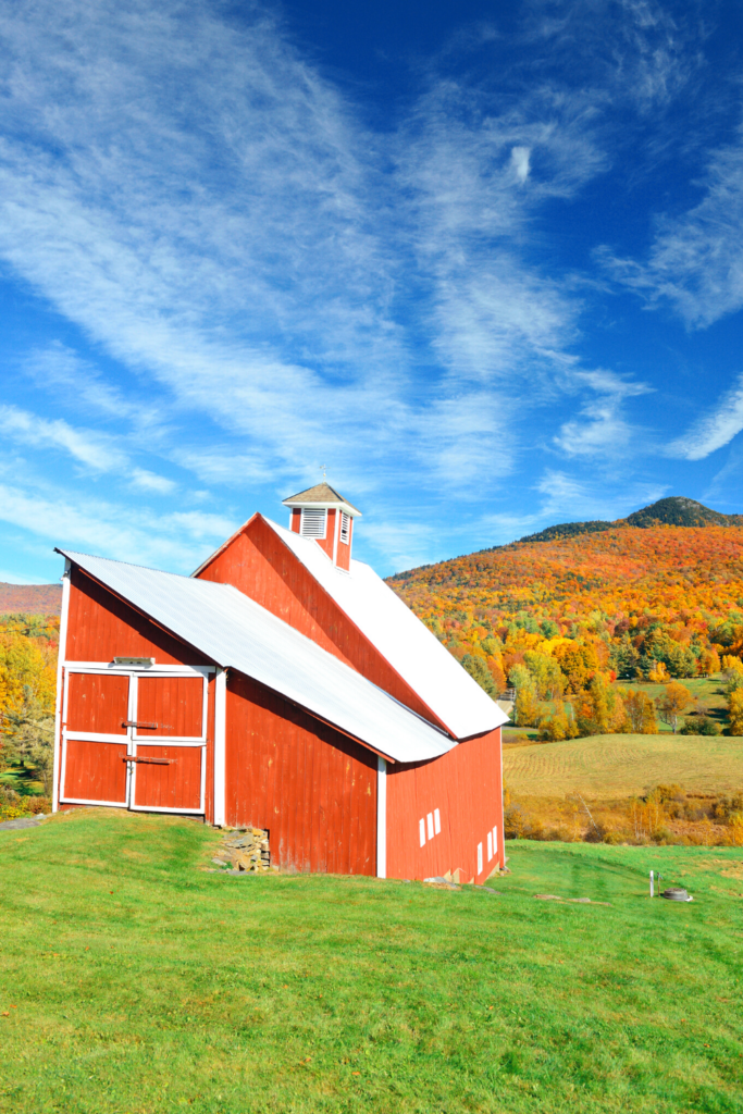 cute red barn in Stowe