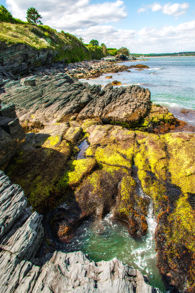 view from the Cliff Walk