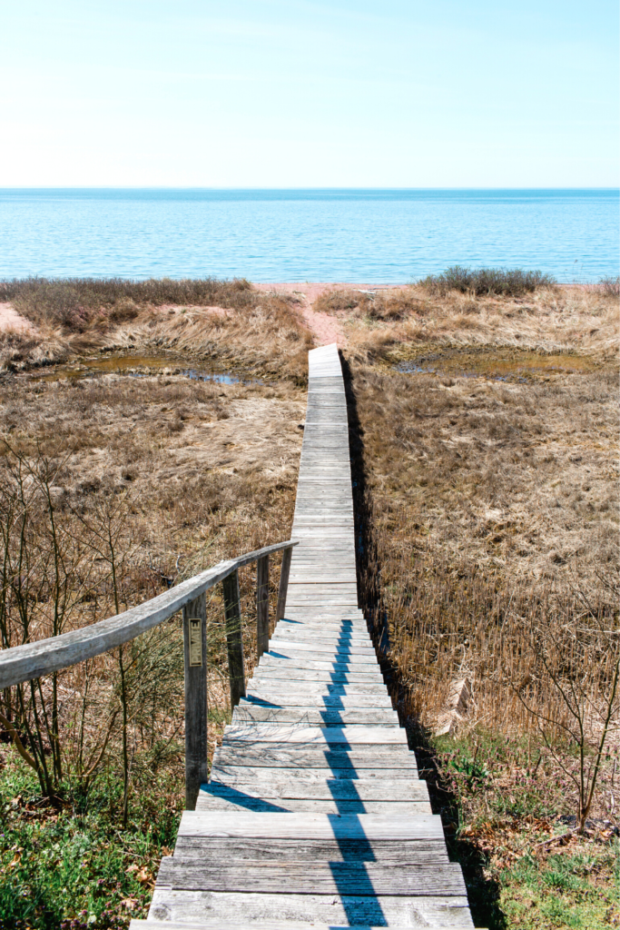 Hammonasset Beach