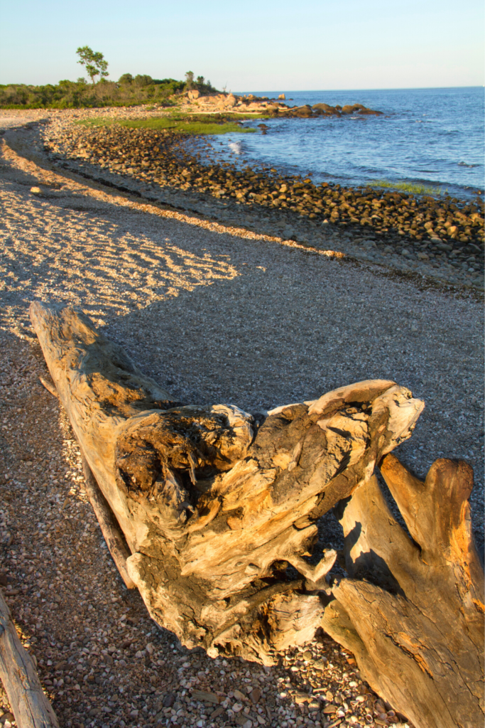 Hammonasset Beach