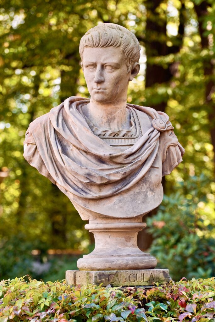 bust of Caligula