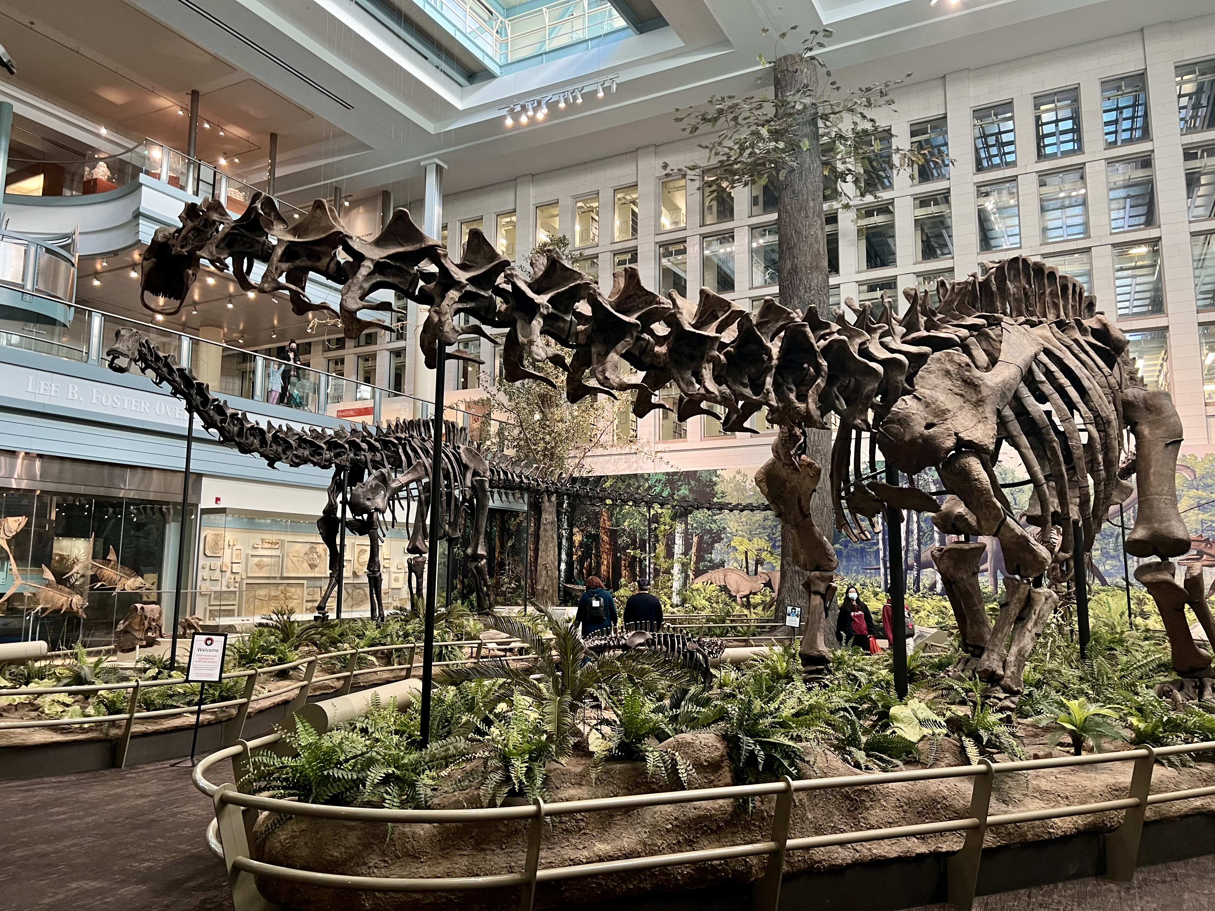 40+ Best Things To Do And See In Pittsburgh, From a Local - The ...
