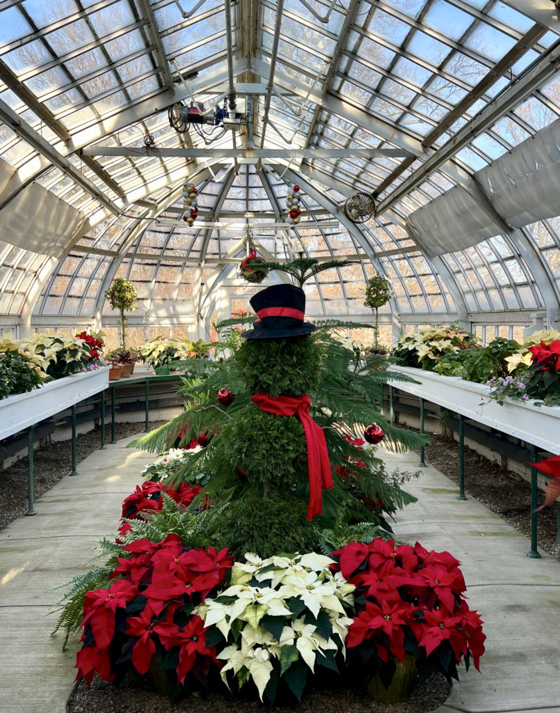 the Frick Greenhouse decorated for Christmas