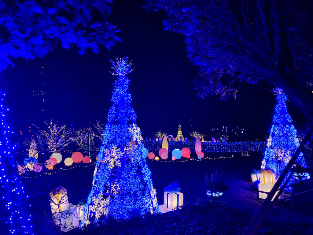beautiful blue trees at the Winter Light Garden