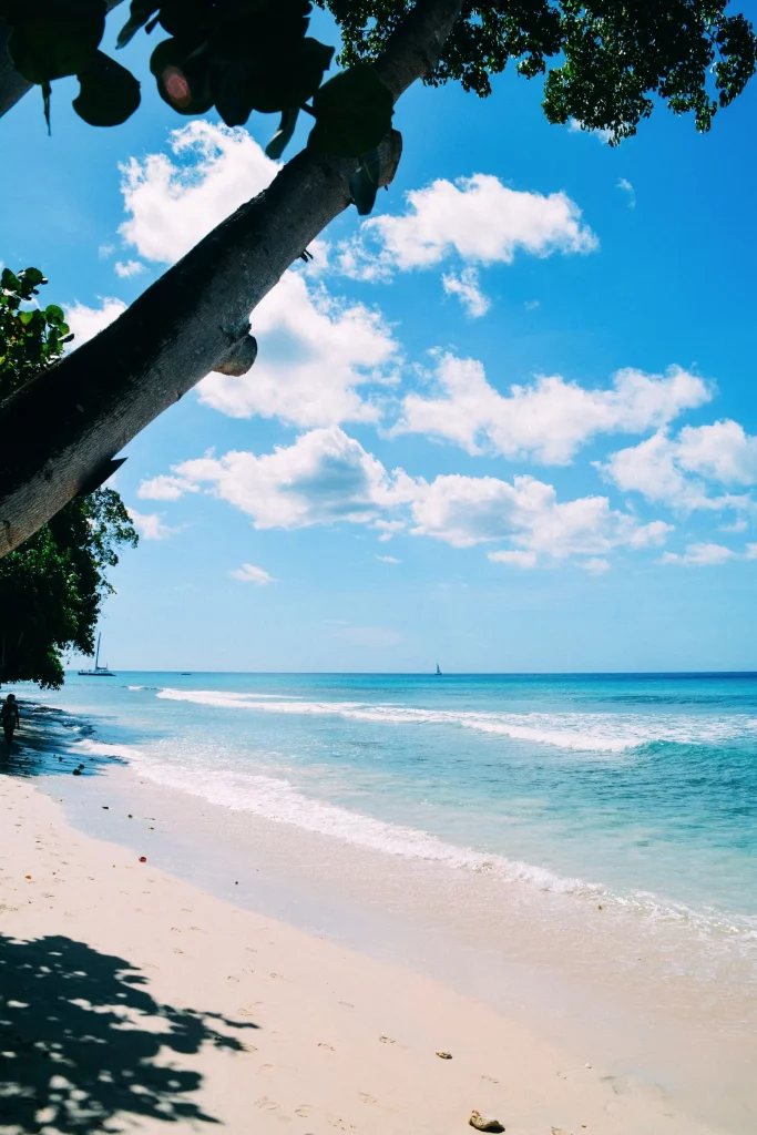 Bathsheba Beach