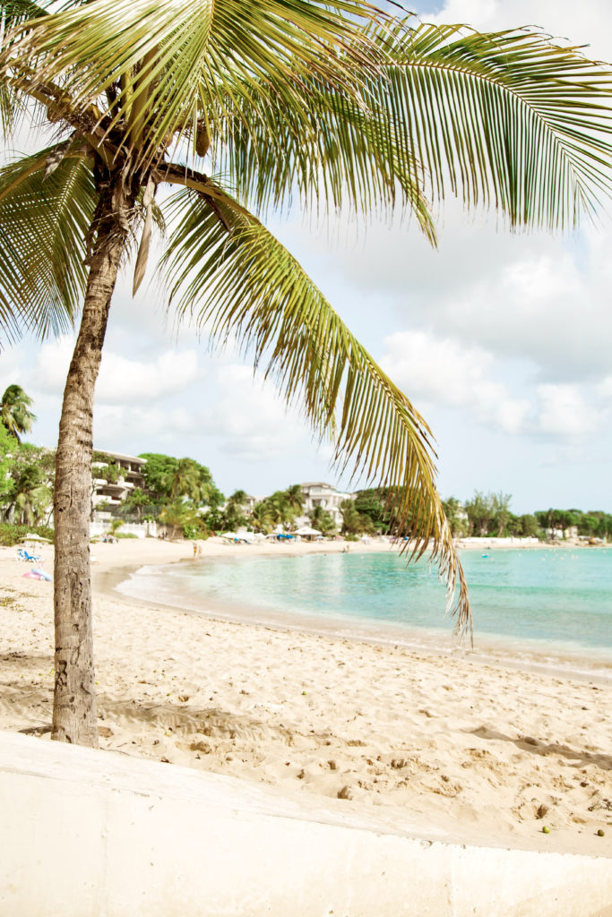 Sandy Lane Beach 