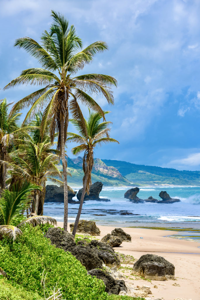 Bathsheba Beach on the east coast 