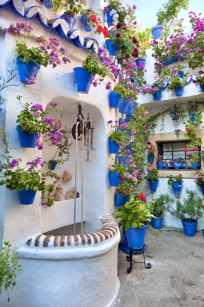 typical flower-filled patio in Cordoba