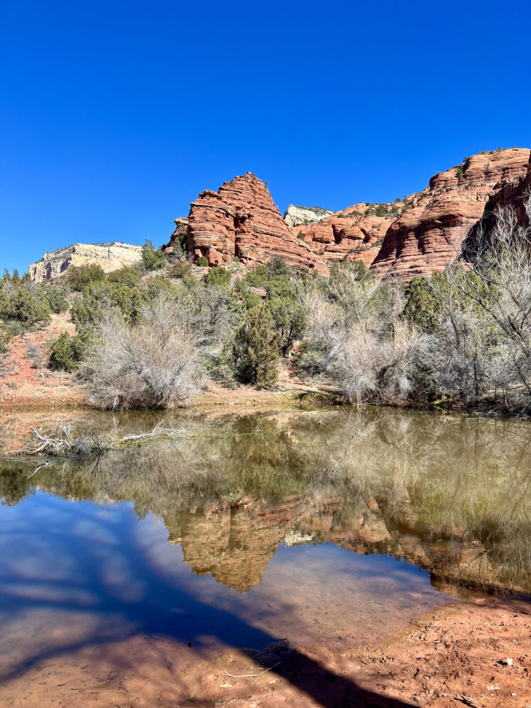 red rocks in Sedona