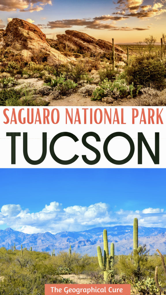visitor's guide to Saguaro National Park