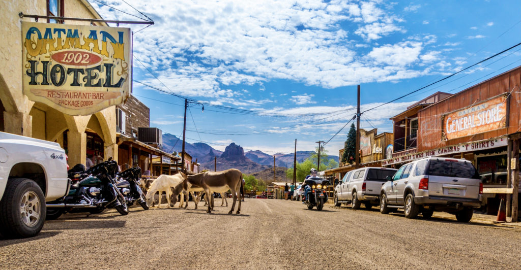 the historic ghost town of Oatman in Arizona