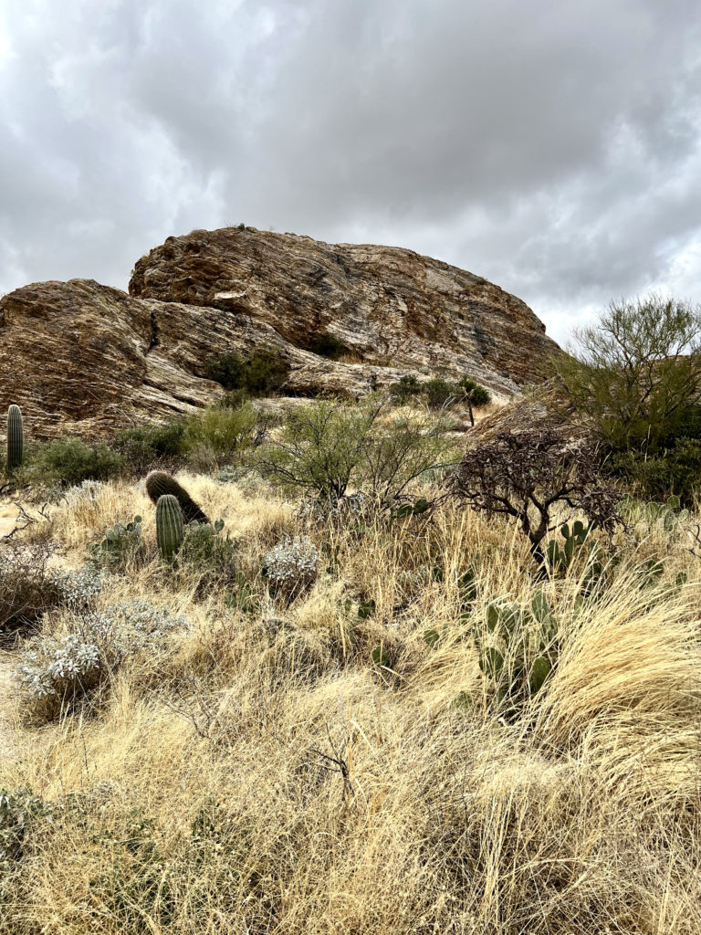 Javelina Rocks, one of the best things to do and see in Saguaro National Park