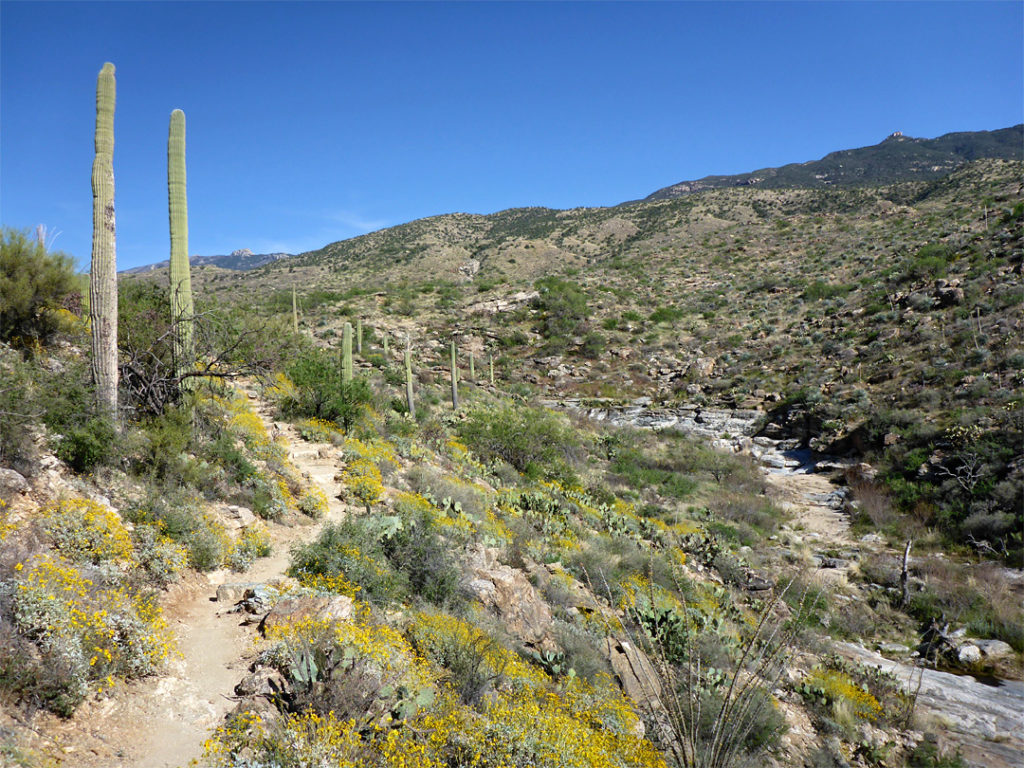 Douglas Spring Trail